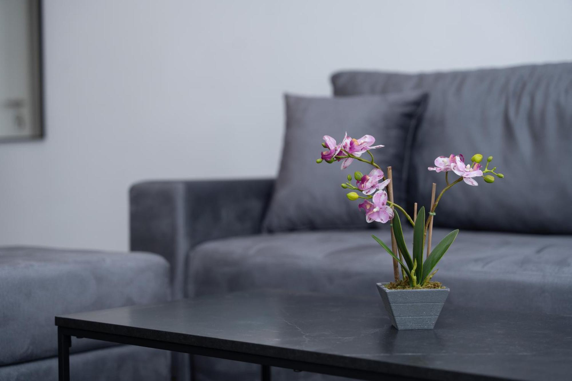 Azzurro City SJJ Eksteriør billede